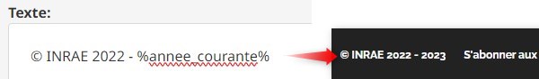 Affichage en front office du copyright dans le footer
