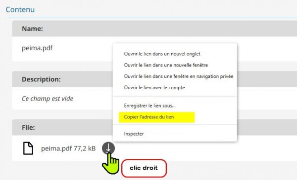 trouver l'url du pdf à insérer