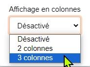 Choix, dans un menu déroulant,  de 3 colonnes à afficher