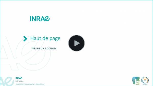 illustration video de la gestion des réseaux sociaux